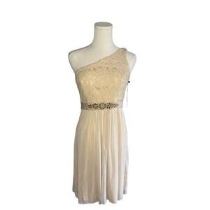 ADRIANNA PAPELL dress‎ womens 4 Embellished Pink One Shoulder Lace Cocktail